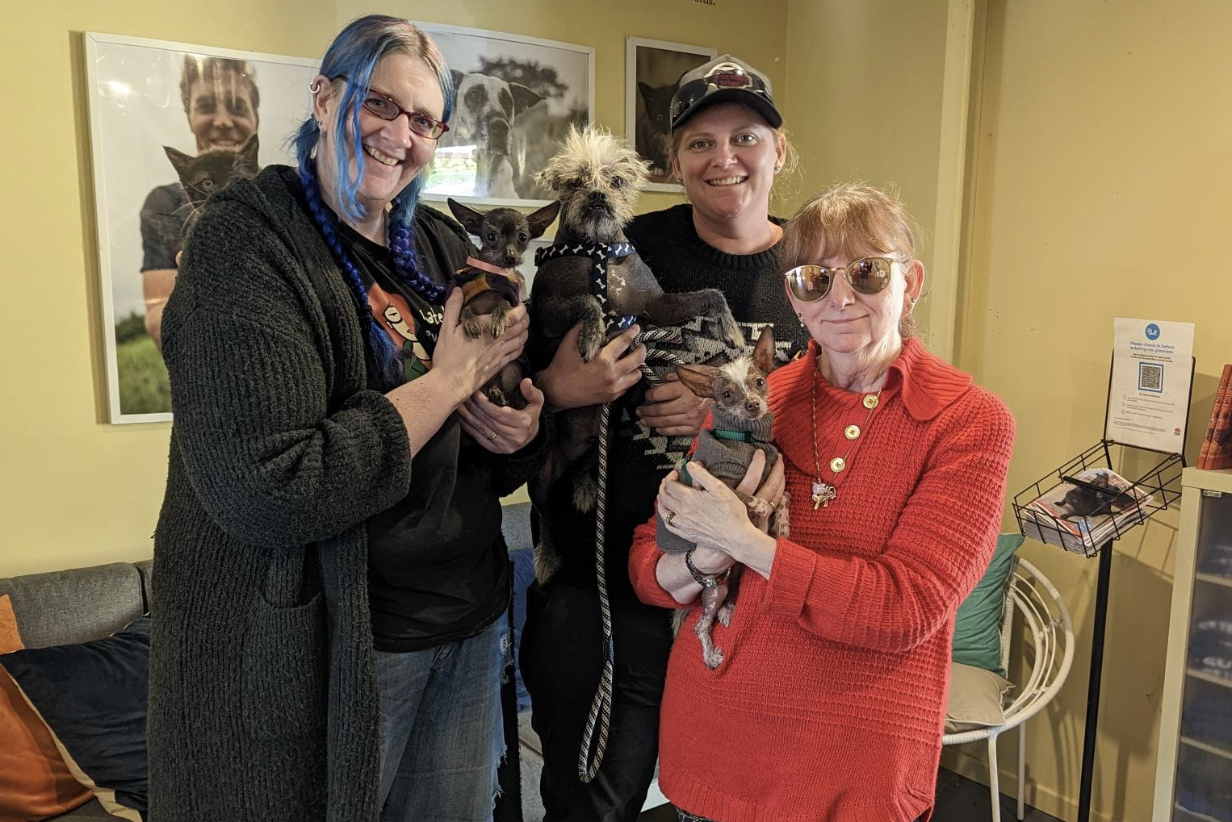 Screenshot-2025-07-08-at-3.43.48 pm-aspect-ratio-600-400